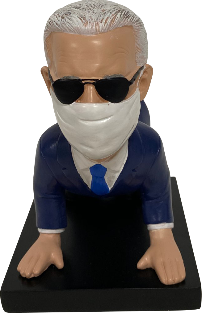 Hide In Biden - Political Satire