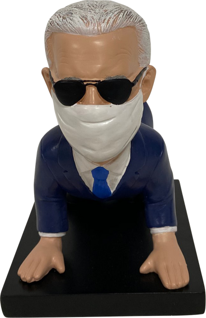 Hide In Biden - Political Satire